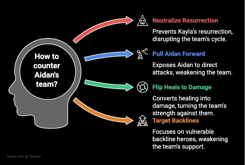 Aidan build guide info-graphics